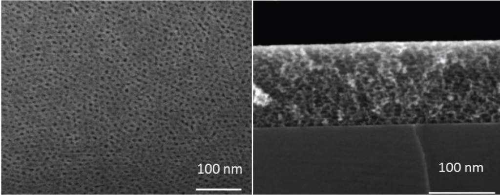 Sections of the mesoporous titania film (MTF)